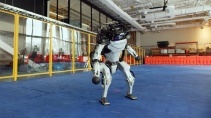 Роботы Boston Dynamics научились танцевать 103