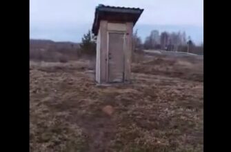 Самый необычный уличный туалет в России 23