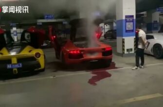 Владелец Lamborghini пожалел о попытке пожарить мясо у выхлопной трубы 41