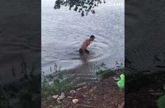 Крокодил атаковал туриста который не успел доплыть до берега 15
