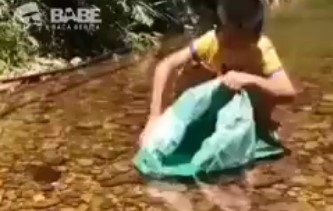 Ядовитая змея преследует каяк по воде