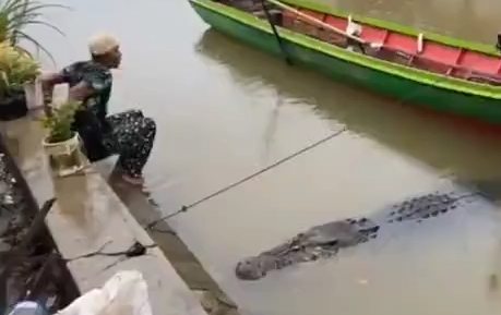 Рыбак решил помыть лодку но не заметил огромного крокодила 17