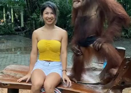 Смышленая обезьяна знает за что хватать женщину 13
