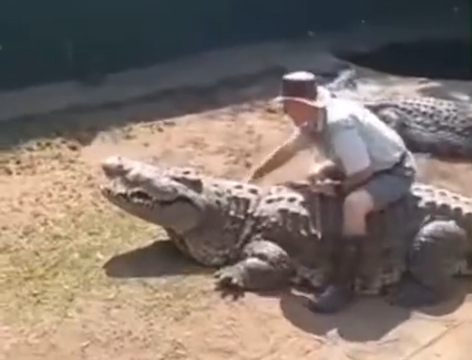 Укротитель крокодилов совершил большую ошибку 71