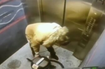 Следите за веревкой когда садитесь в лифт 17