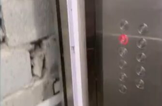 Внезапный хаос в лифте 35