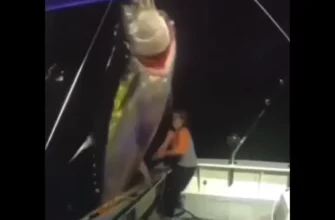 Женщина поймала самую большую рыбу в своей жизни 7