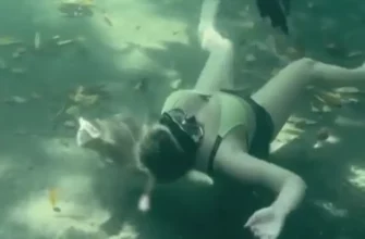 Девушка решила поплавать с крокодилом 53