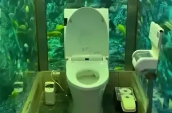 Туалет который мы все заслуживаем 101