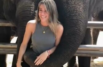 В Таиланде слон напал на молодую туристку 51