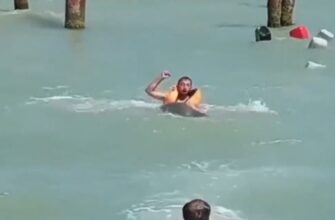 Тюлень напал на мужчину в Каспийском море 19